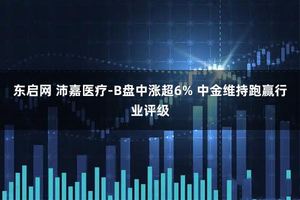 东启网 沛嘉医疗-B盘中涨超6% 中金维持跑赢行业评级